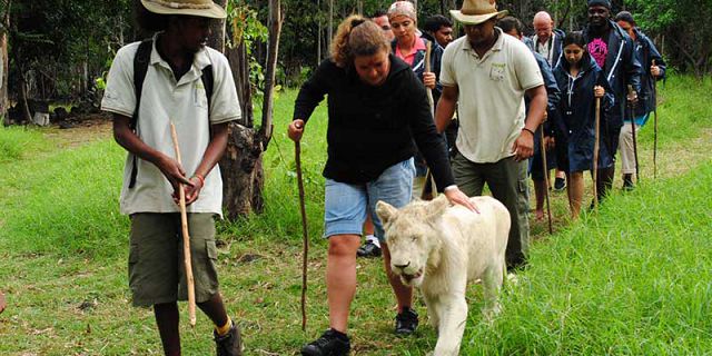 Casela nature park mauritius (8)